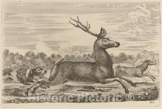 Art Print : Stefano Della Bella, Deer Chased by Two Dogs to The Left - Vintage Wall Art