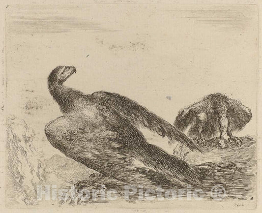 Art Print : Stefano Della Bella, Two Eagles on a Promitory - Vintage Wall Art