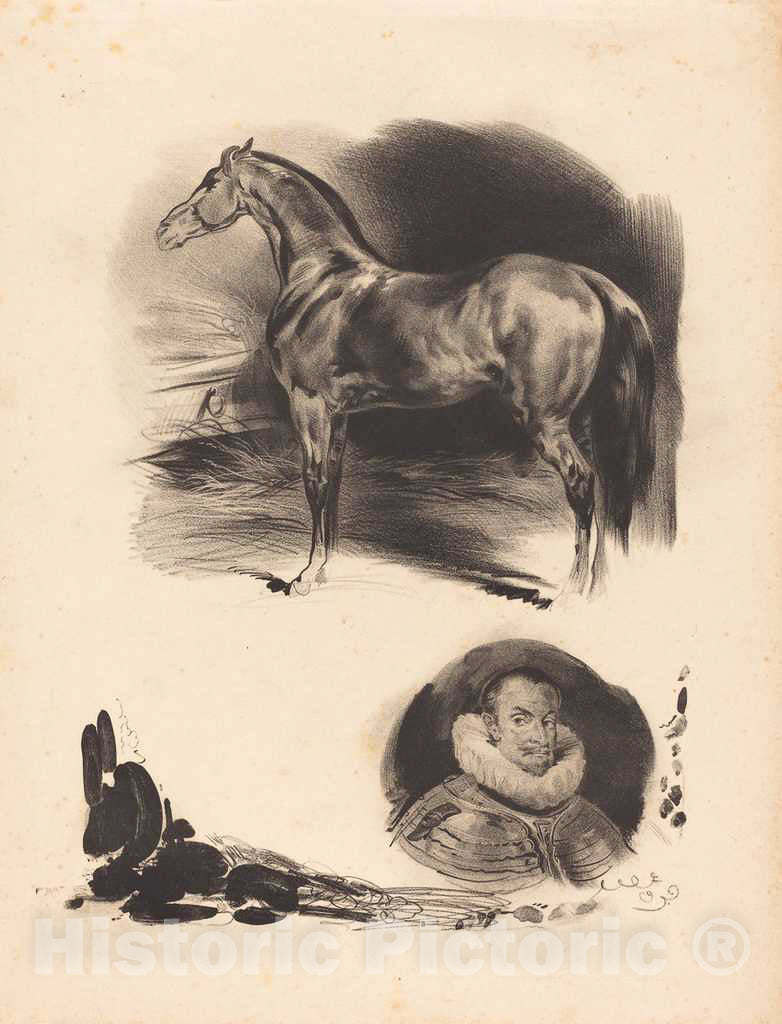 Art Print : Sketches of a Horse and a Nobleman - Vintage Wall Art