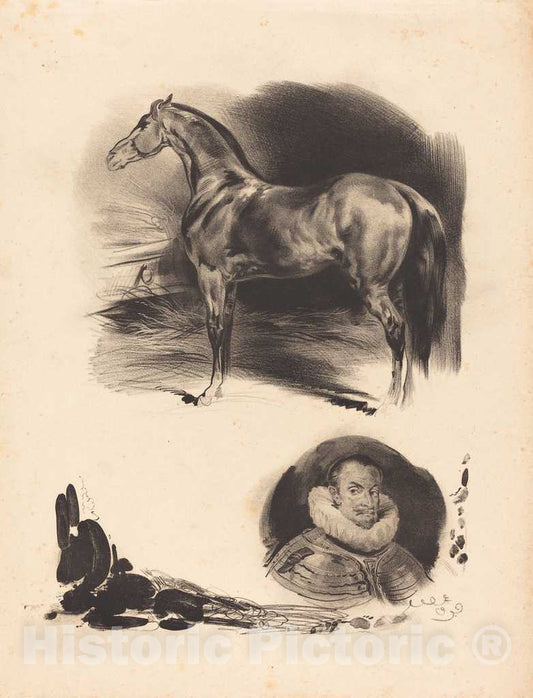 Art Print : Sketches of a Horse and a Nobleman - Vintage Wall Art
