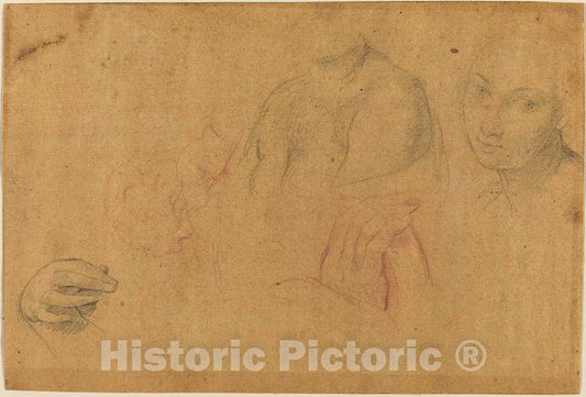 Art Print : Pompeo Batoni, Sketches of Heads and Hands - Vintage Wall Art