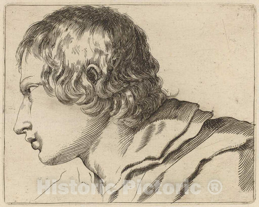 Art Print : Stefano Della Bella, Head of a Man Turned Left - Vintage Wall Art