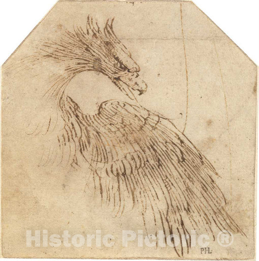 Art Print : Titian, an Eagle, c.1563 - Vintage Wall Art