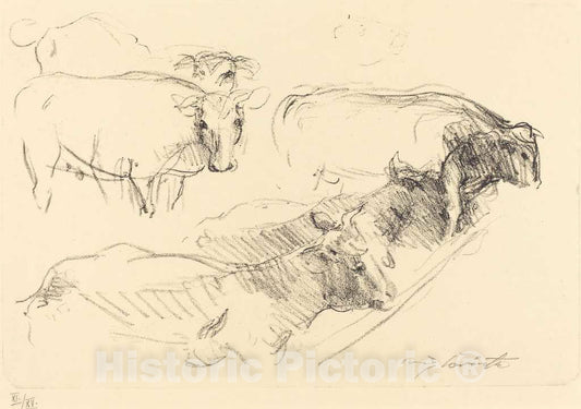 Art Print : Lovis Corinth, Cows (KÃ¼he), 1910 - Vintage Wall Art