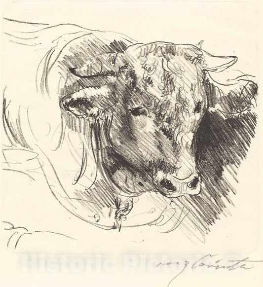 Art Print : Lovis Corinth, Head of a Steer (Stierkopf), 1912 - Vintage Wall Art