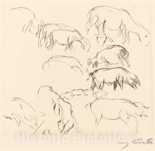 Art Print : Lovis Corinth, Animal Studies (Verschiedene Tierstudien), 1917 - Vintage Wall Art