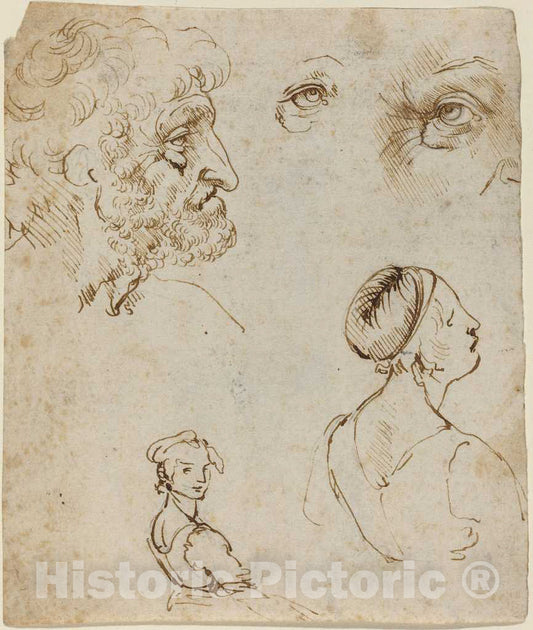 Art Print : Leonardo da Vinci, Sheet of Studies [Recto], c.1475 - Vintage Wall Art
