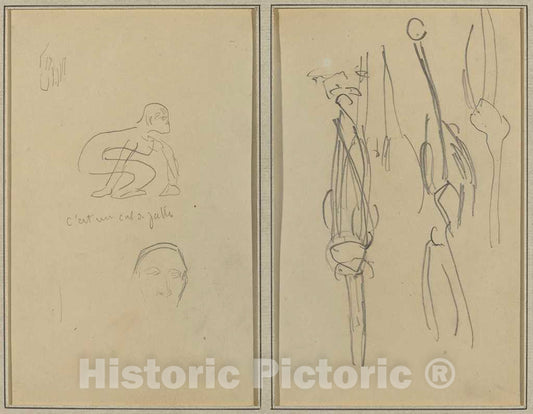 Art Print : Paul Gauguin, Crouching Monkey and Man's Head; Bones and Muscles [Verso], 1884-1888 - Vintage Wall Art