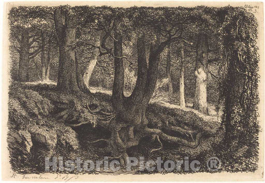 Art Print : EugÃ¨ne BlÃ©ry, L'arbre aux racines (Tree with Roots), 1849 - Vintage Wall Art