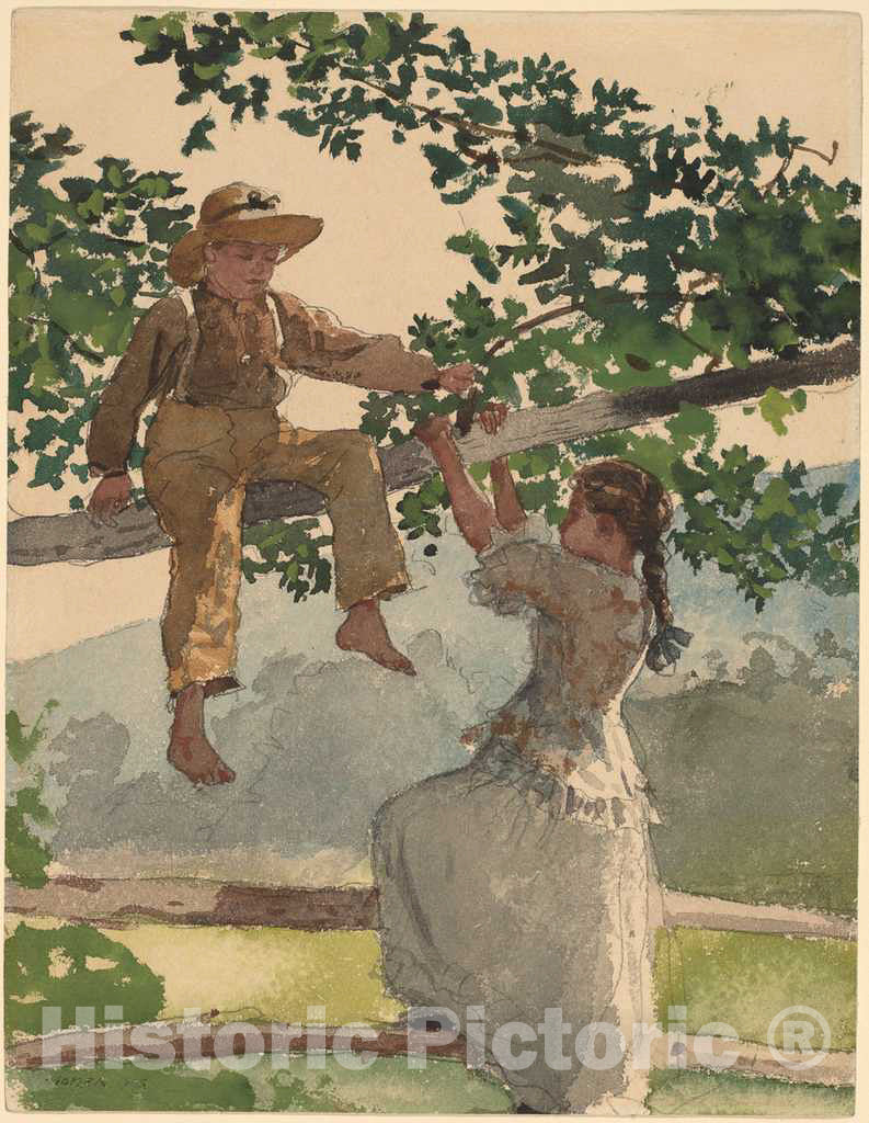 Art Print : Winslow Homer, On The Fence, 1878 - Vintage Wall Art