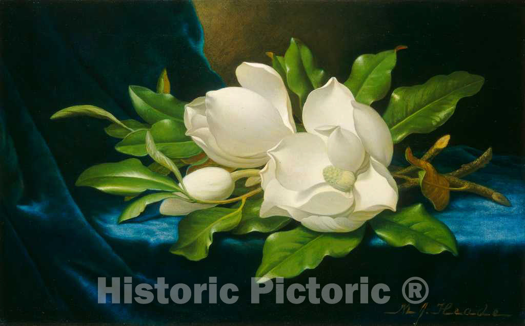 Art Print : Martin Johnson Heade, Giant Magnolias on a Blue Velvet Cloth, c. 1890 - Vintage Wall Art