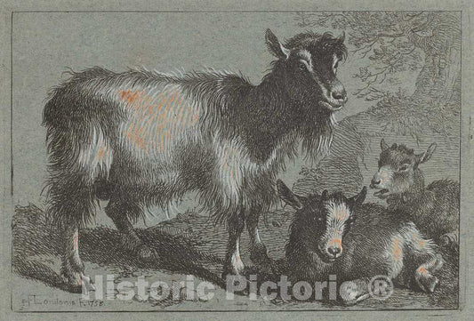Art Print : Francesco Londonio, Goat and Two Kids, 1758 - Vintage Wall Art