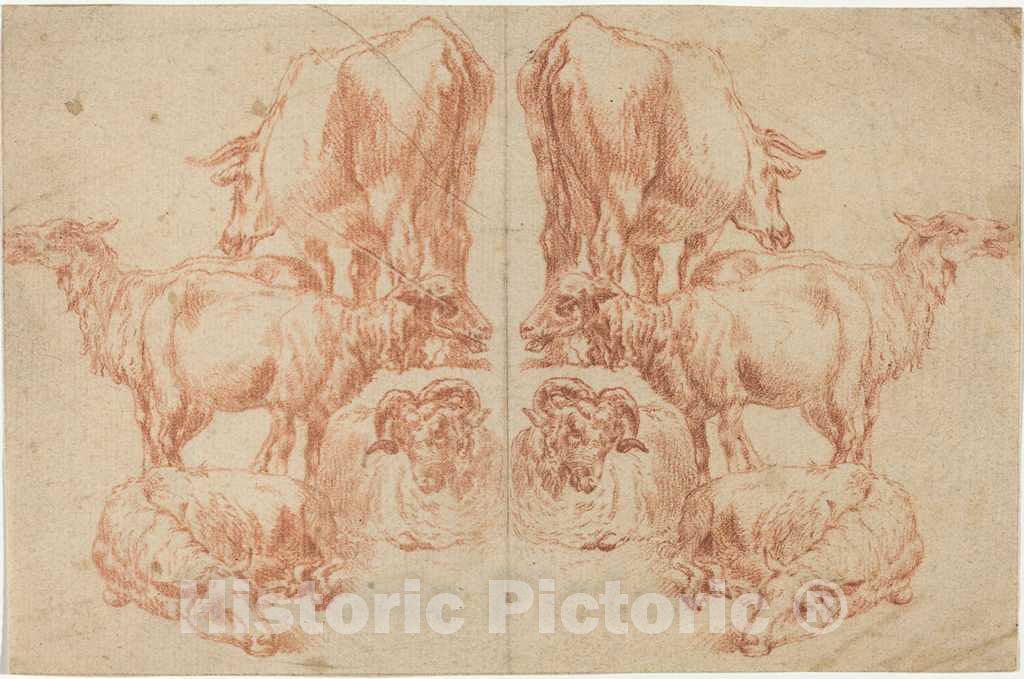 Art Print : Nicolaes Pietersz Berchem, Four Sheep and a Cow, c. 1652 - Vintage Wall Art