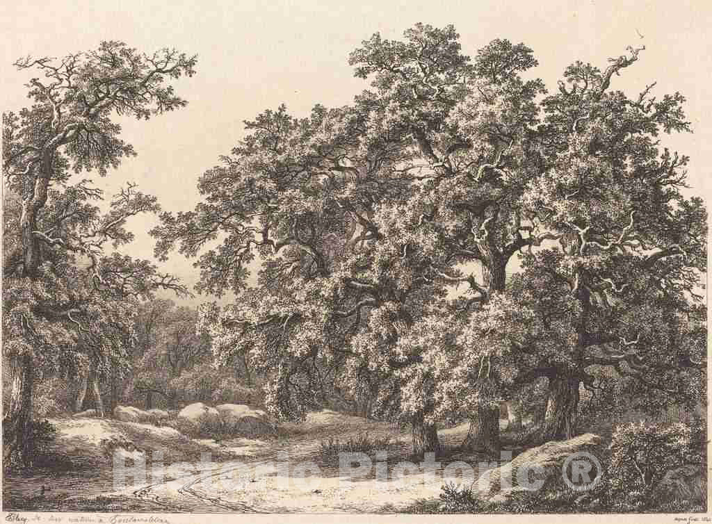 Art Print : EugÃ¨ne BlÃ©ry, Oaks, 1840 - Vintage Wall Art