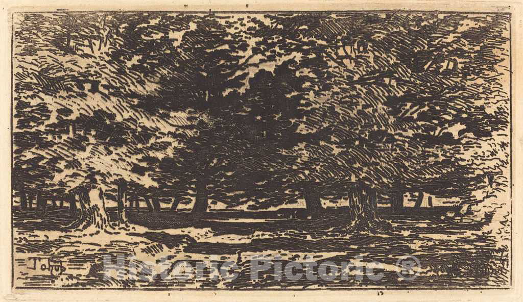 Art Print : FÃ©lix-Hilaire Buhot, ForÃªt - Vintage Wall Art