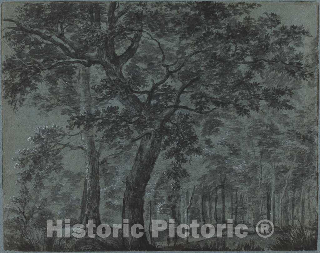 Art Print : Joris Van der Haagen, Woods at Night with Travelers - Vintage Wall Art