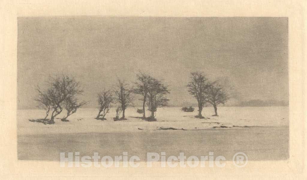 Art Print : Peter Henry Emerson, Gnarled-Thorn Trees, c. 1890 - Vintage Wall Art