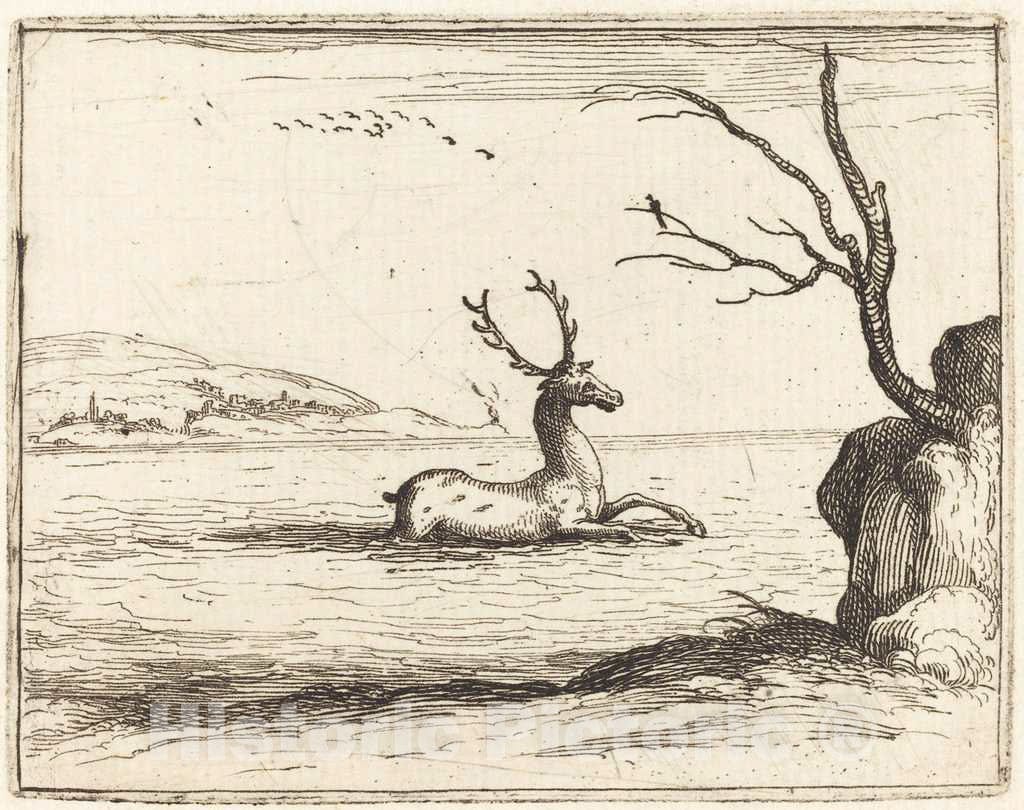 Art Print : Jacques Callot, Stag in The Water, 1628 - Vintage Wall Art