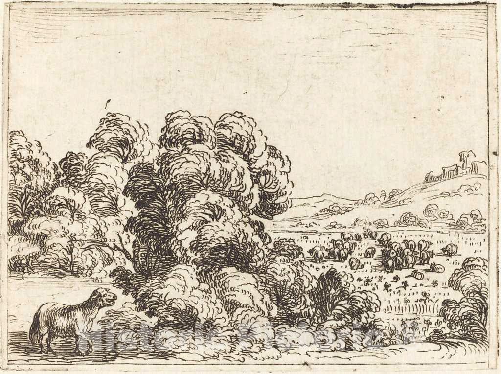 Art Print : Jacques Callot, Sheep Calling Lamb - Vintage Wall Art
