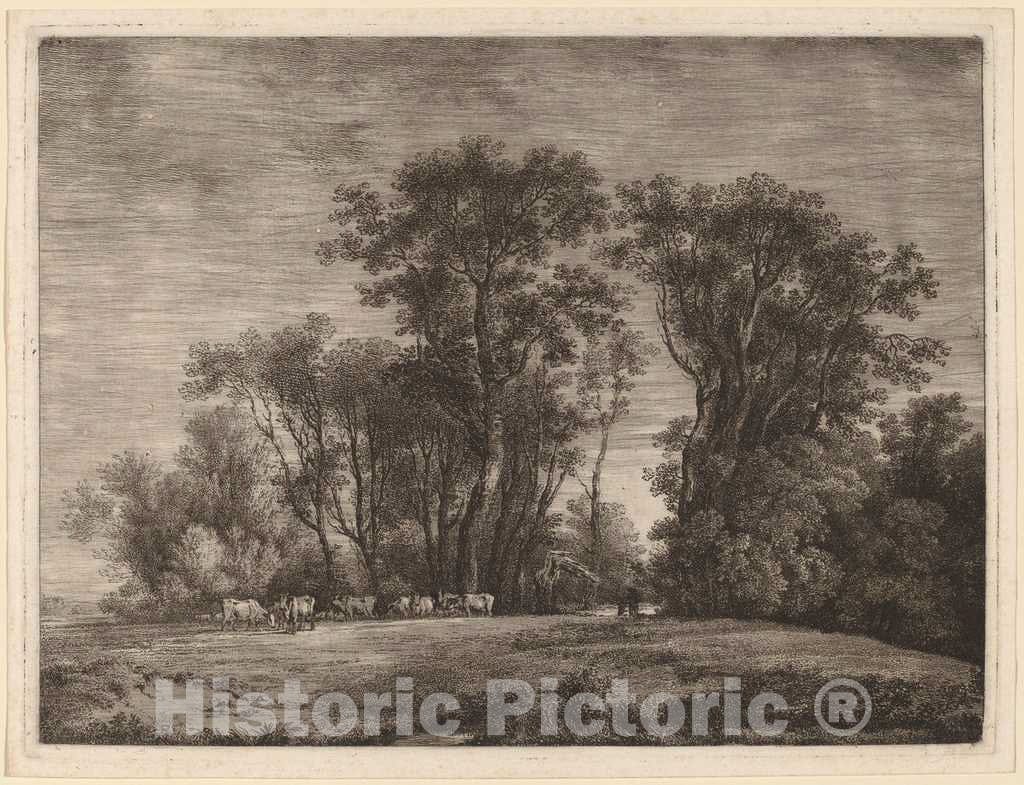 Dragable Image
