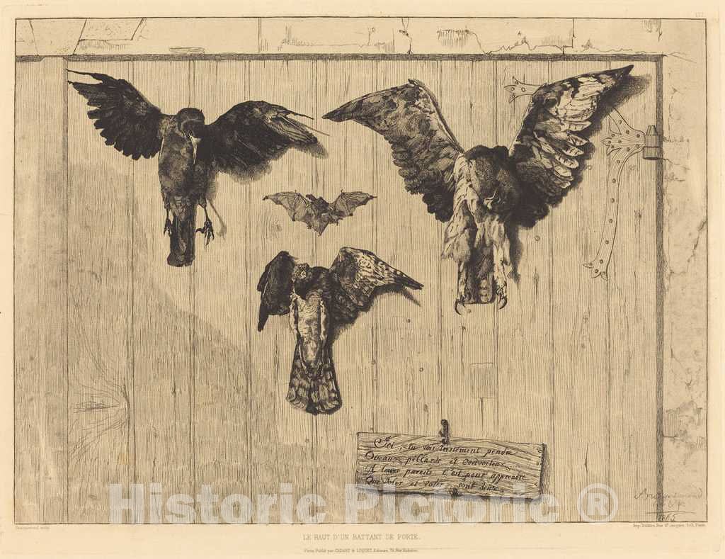 Art Print : FÃ©lix Bracquemond, Le Haut d'un battant de Porte (Birds Nailed to a Barn Door), 1852 (This Edition 1865) - Vintage Wall Art