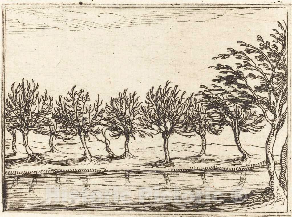 Art Print : Jacques Callot, Willows by The Water's Edge, 1628 - Vintage Wall Art