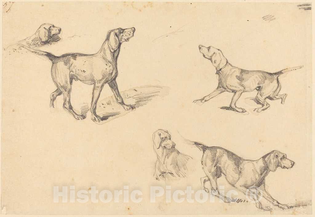 Art Print : Richard Parkes Bonington, Five Studies of a French Pointer, c.1826 - Vintage Wall Art