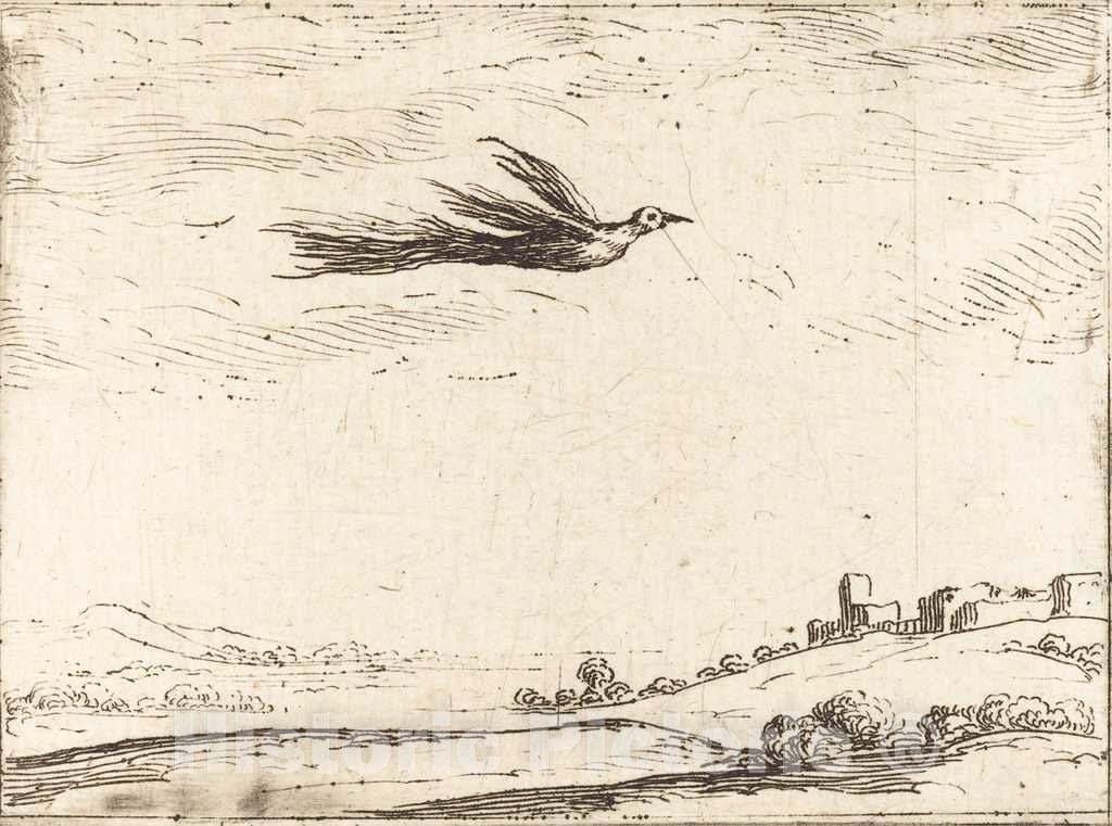 Art Print : Jacques Callot, Bird of Paradise - Vintage Wall Art