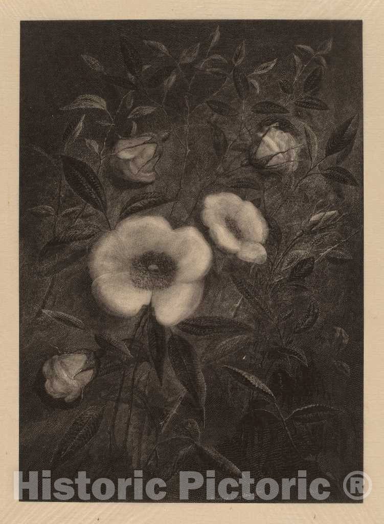 Dragable Image