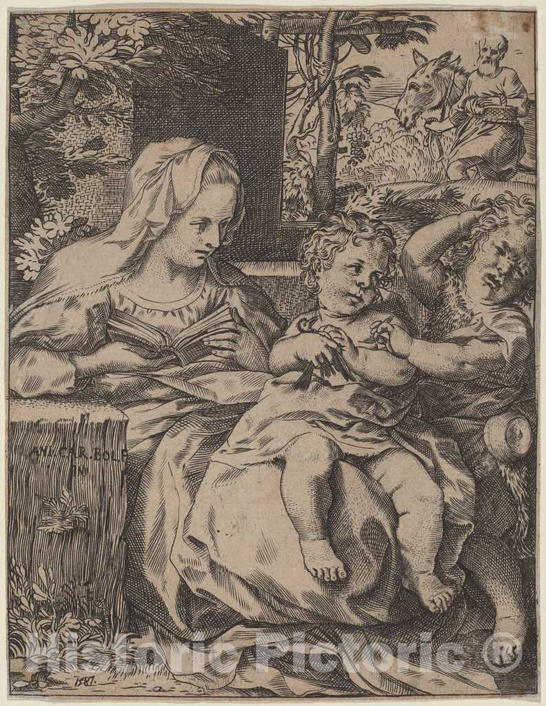 Art Print : Annibale Carracci, The Madonna of The Swallow, 1587 - Vintage Wall Art