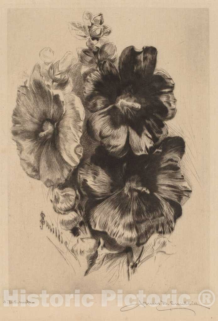 Art Print : Smillie, Dark Single Hollyhocks, 1890 - Vintage Wall Art