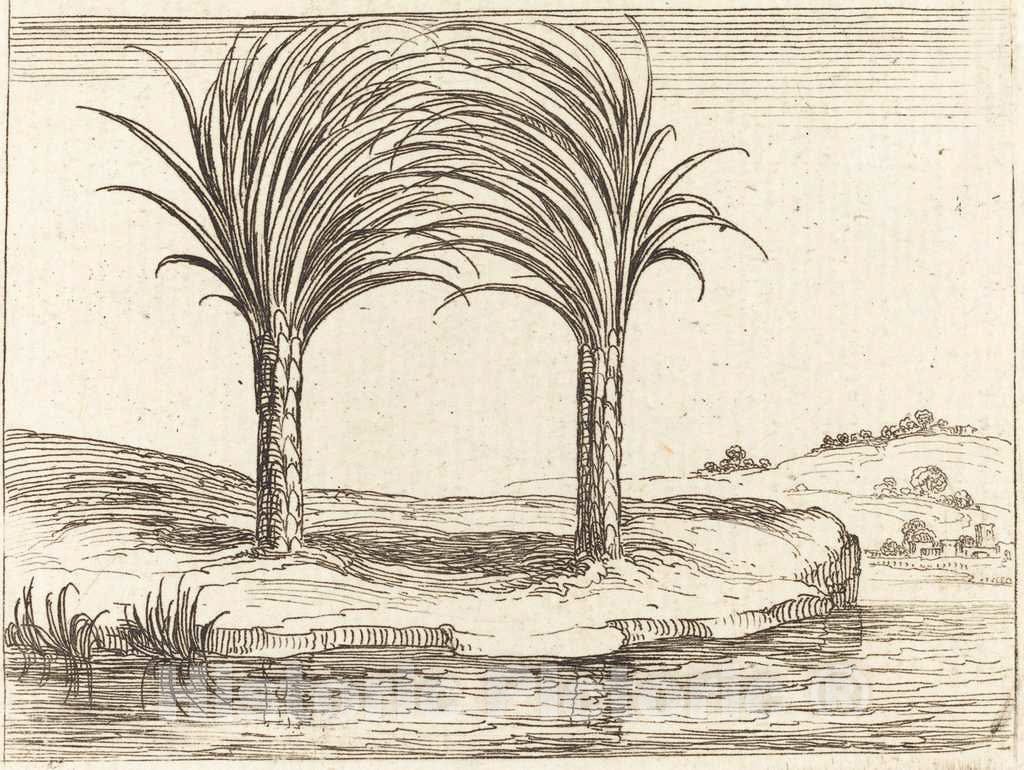 Art Print : Jacques Callot, Two Palm Trees - Vintage Wall Art