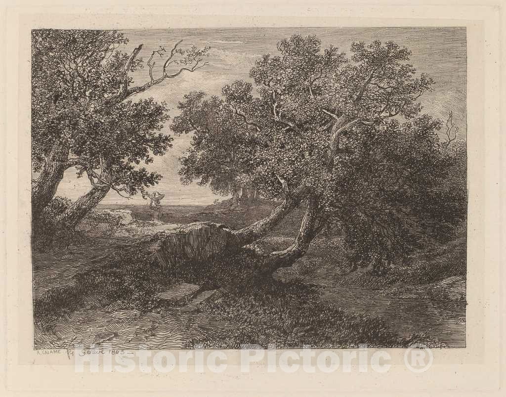 Art Print : Alexandre Calame, Stream with Overhanging Trees, 1845 - Vintage Wall Art