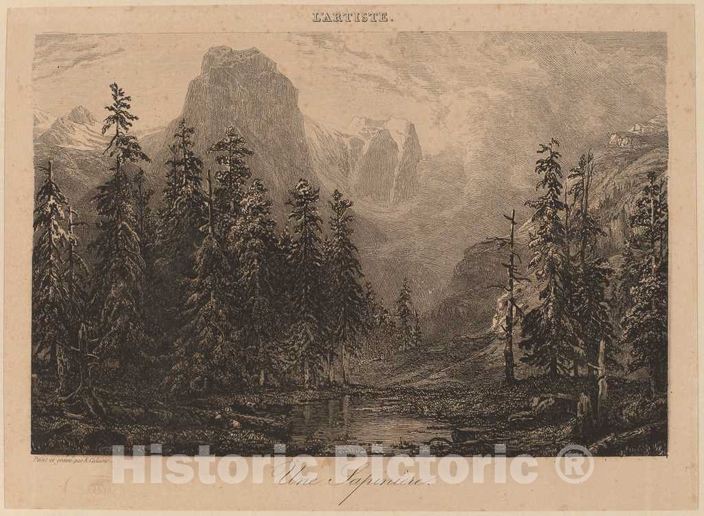 Art Print : Alexandre Calame, Une SapiniÃ¨re, c.1845 - Vintage Wall Art