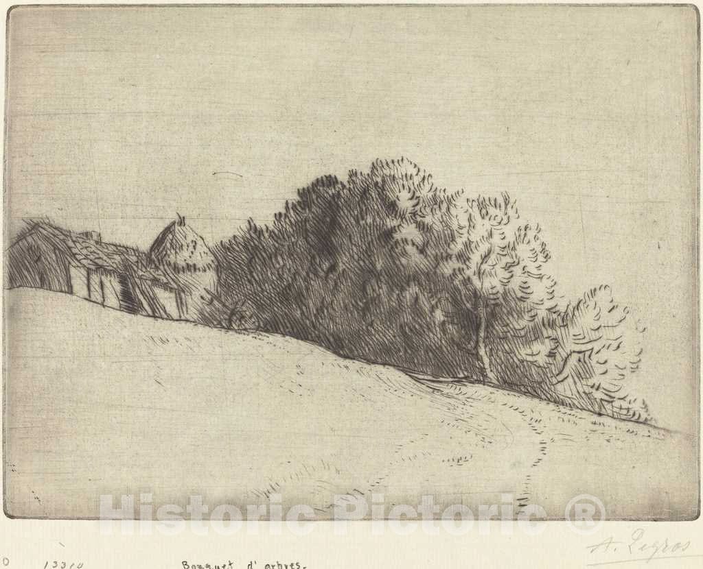 Art Print : Alphonse Legros, Stand of Trees (Bouquet d'arbres) - Vintage Wall Art
