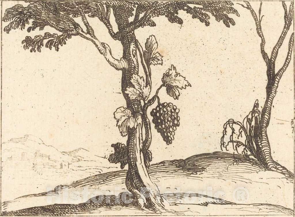 Art Print : Jacques Callot, Bunch of Grapes - Vintage Wall Art
