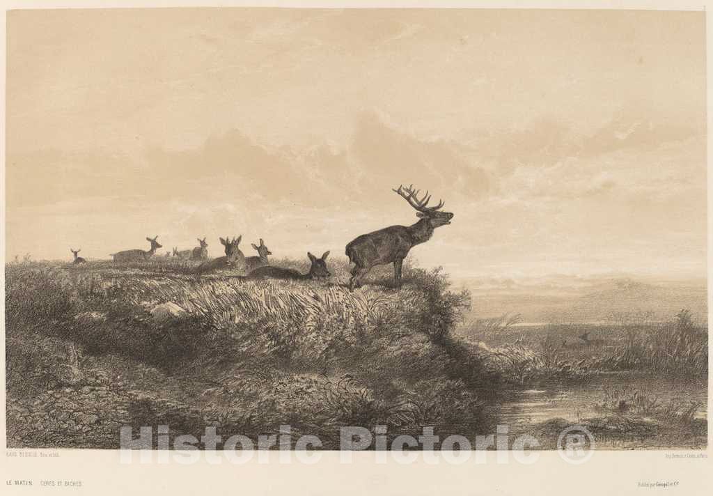 Art Print : Karl Bodmer, Le Matin - Vintage Wall Art