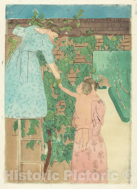 Art Print : Mary Cassatt, Gathering Fruit, c. 1893 - Vintage Wall Art