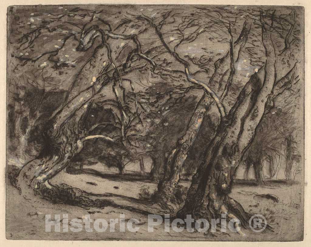 Art Print : Samuel Colman, Untitled (Wooded Landscape), c. 1880 - Vintage Wall Art