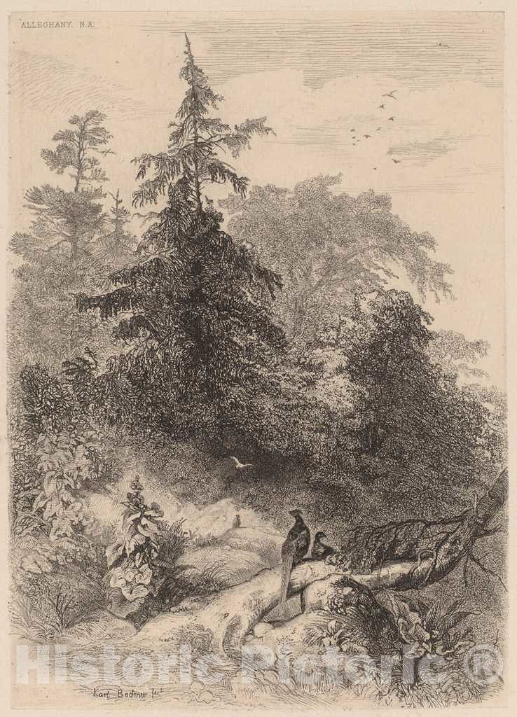 Art Print : Karl Bodmer, Les Faisans - Vintage Wall Art