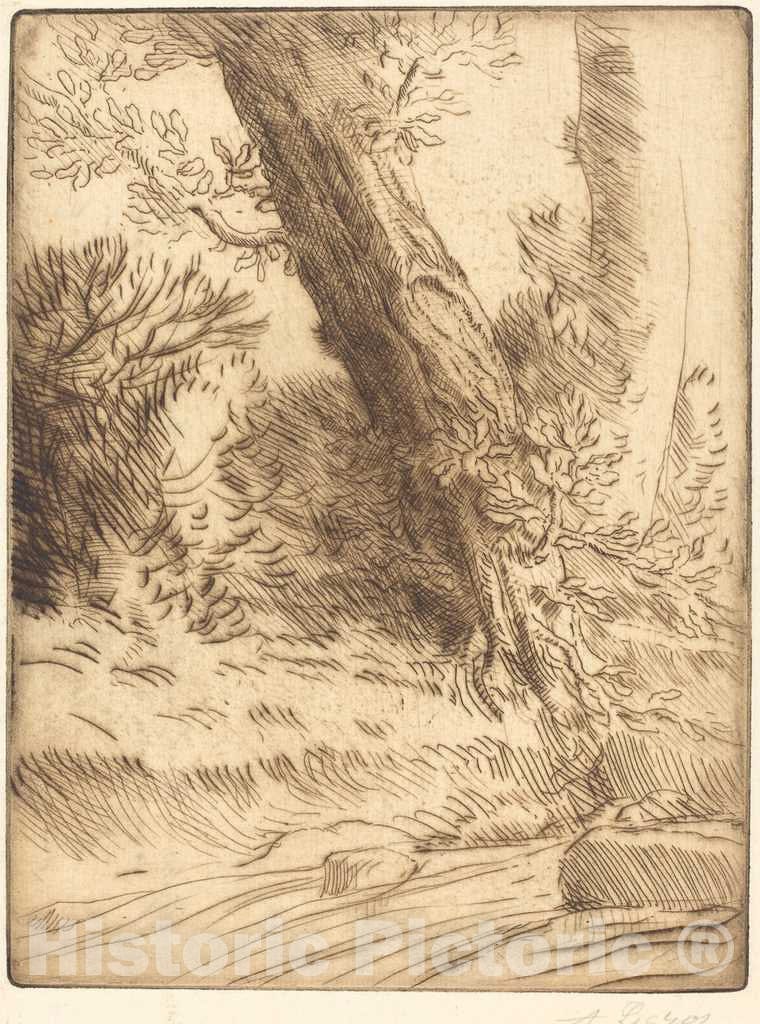 Art Print : Alphonse Legros, Edge of a Brook (Bord de ruisseau) - Vintage Wall Art