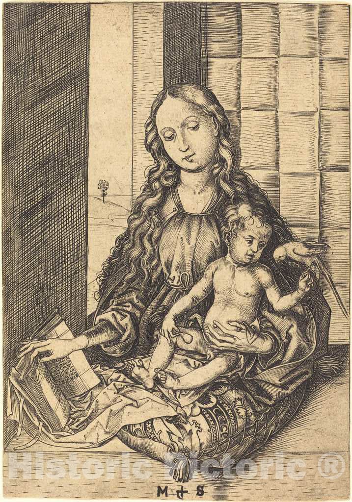 Art Print : Martin Schongauer, Madonna with a Parrot, c.1473 - Vintage Wall Art
