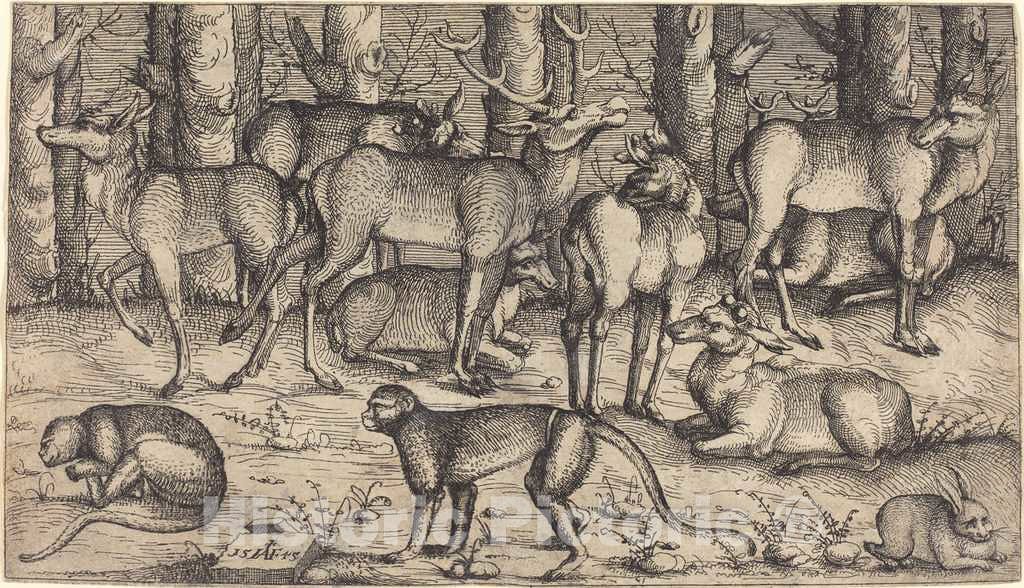Art Print : Augustin Hirschvogel, Stags in The Forest, 1545 - Vintage Wall Art