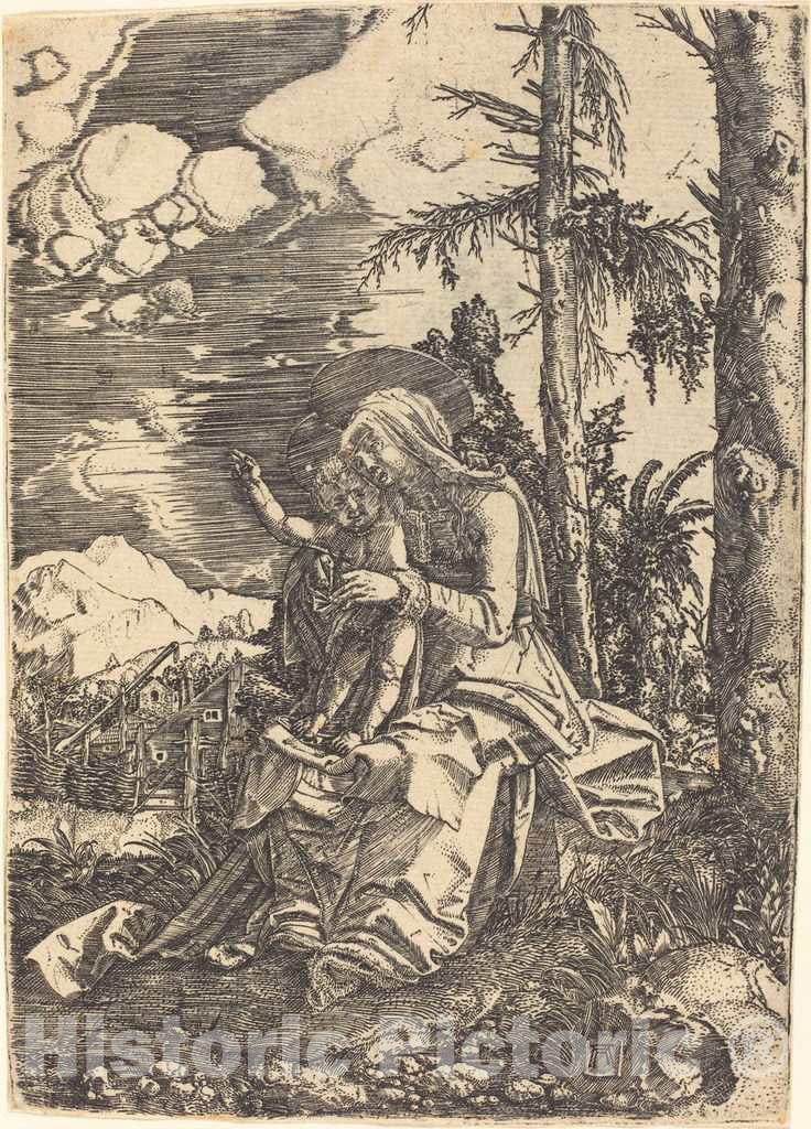 Art Print : Albrecht Altdorfer, Virgin in a Landscape, c. 1515 - Vintage Wall Art