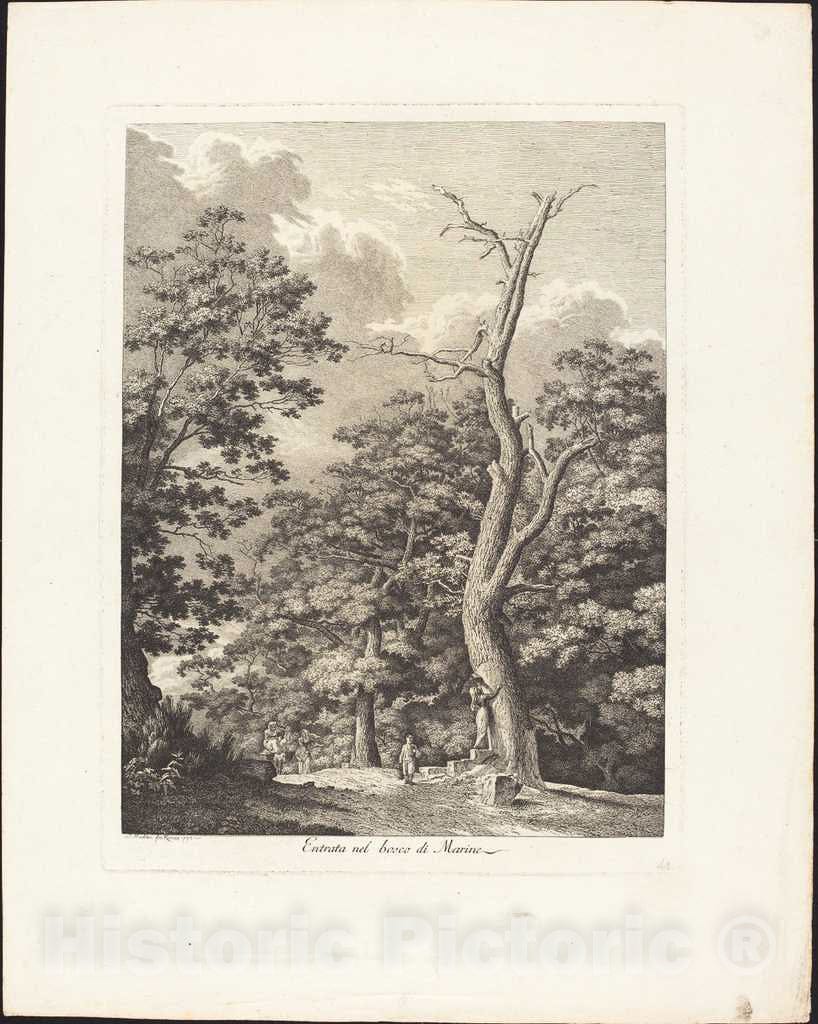 Art Print : Jacob Wilhelm Mechau, Entrata nel Bosco di Marino, 1792 - Vintage Wall Art