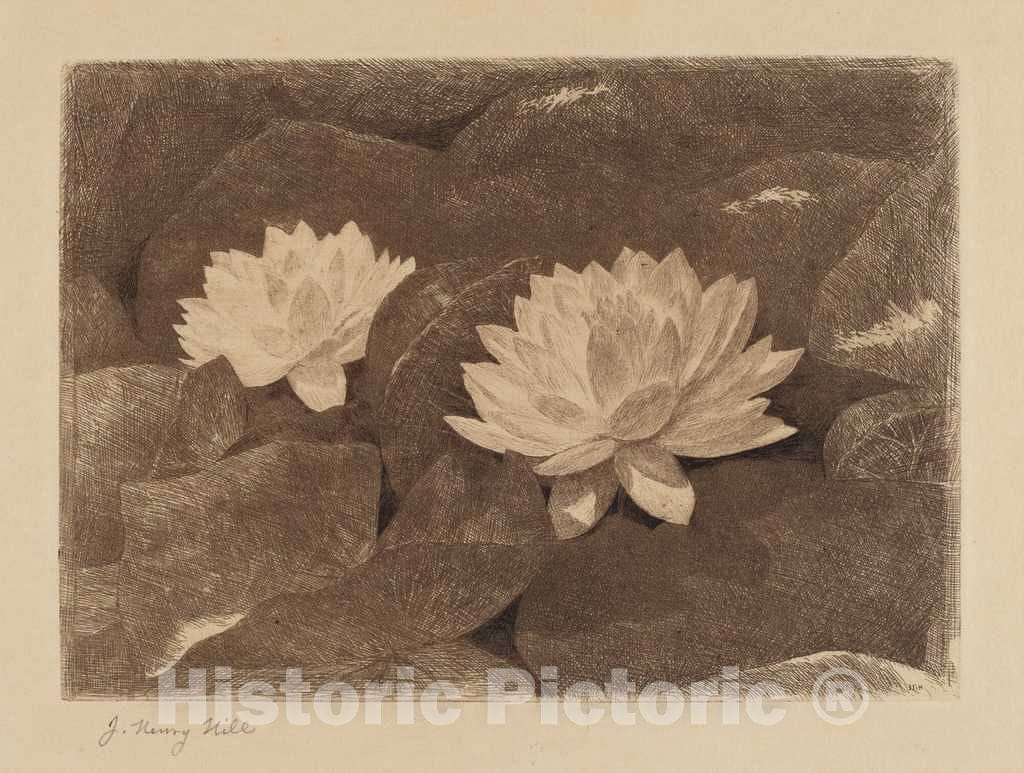 Art Print : John Henry Hill, Waterlilies, c. 1870 - Vintage Wall Art