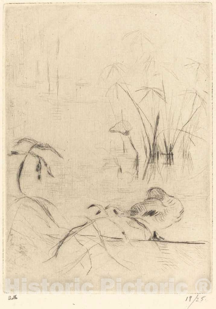 Art Print : Berthe Morisot, Ducks at Rest on The Bank, c.1889 - Vintage Wall Art
