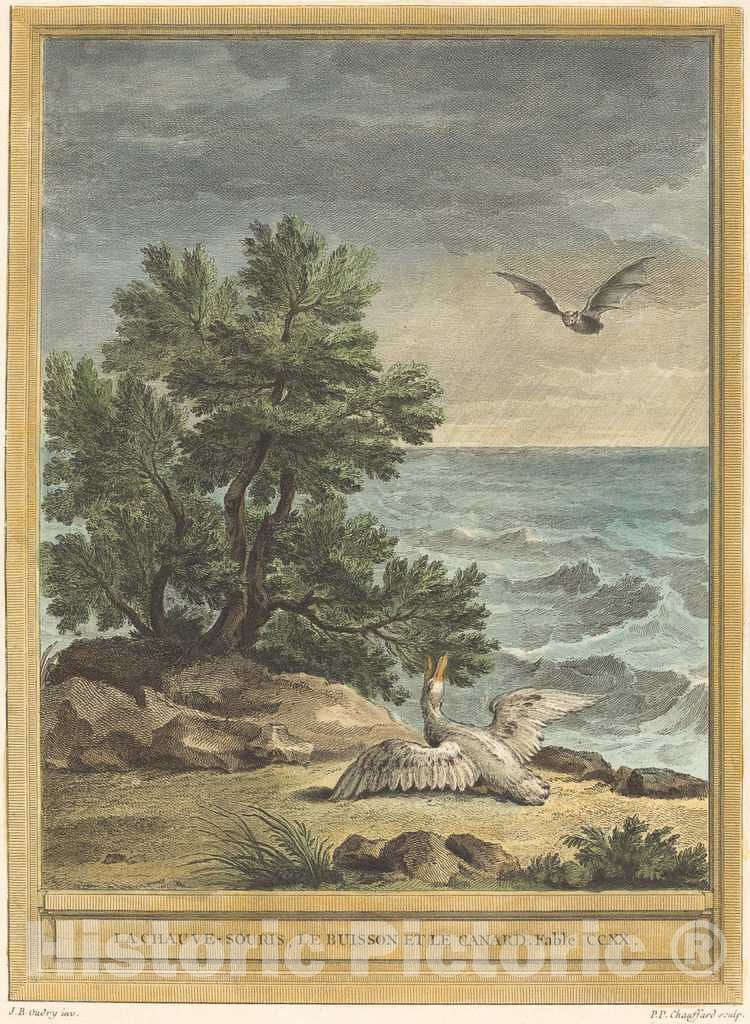 Art Print : Choffard After Oudry, La chauve-Souris, le buisson et le Canard (The Bat, The Bush, and The Duck), 1759 - Vintage Wall Art