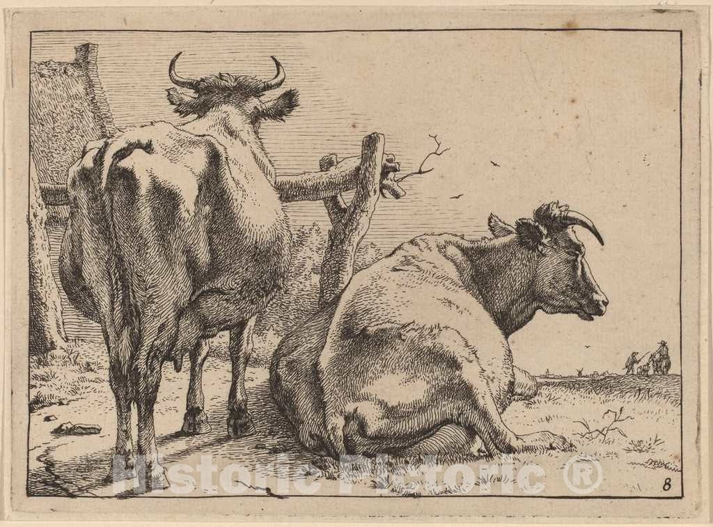 Art Print : Paulus Potter, Two Cows Seen from Behind, 1650 - Vintage Wall Art
