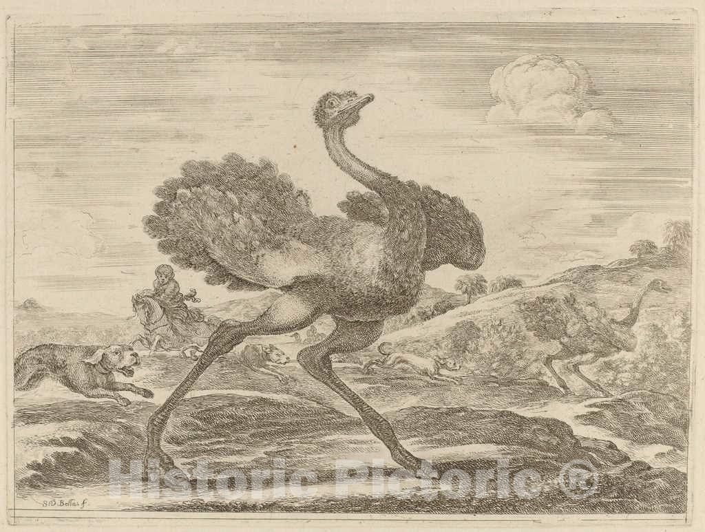 Art Print : Stefano Della Bella, Ostrich Hunt - Vintage Wall Art